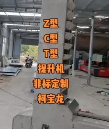 Z型，C型,T型提升機，非標定制