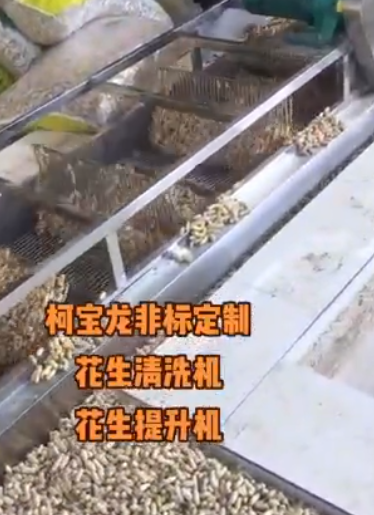 花生清洗機，花生提升機，可非標定制，輸送平穩(wěn)，噪音較小